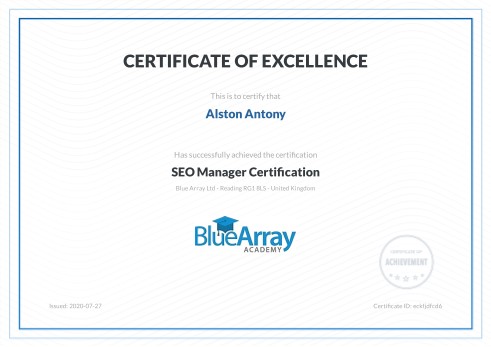 SEO Manager - Blue Array Academy